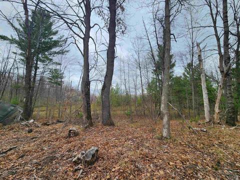 5770 Mostetler, Harrison, MI 48625 photo 8