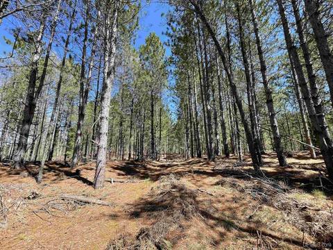 tbd River Rd 90, Hermansville, MI 49847
