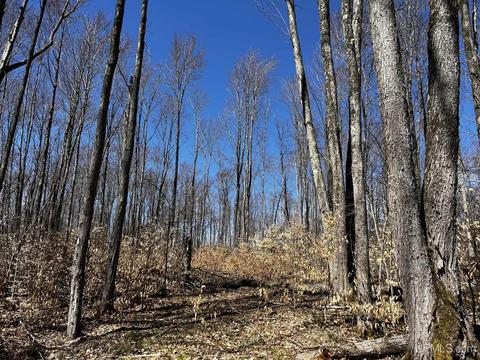 Tbd Hardwoods Drive, Manistique, MI 49854