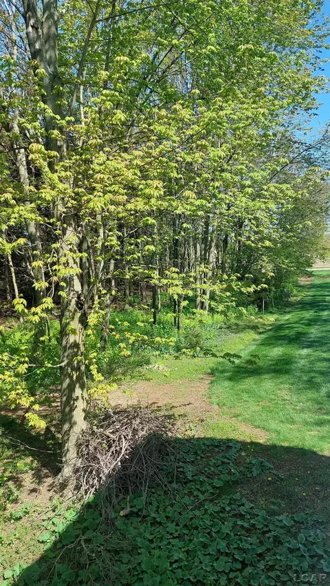 7665 Centennial Rd, Britton, MI 49229 photo 20