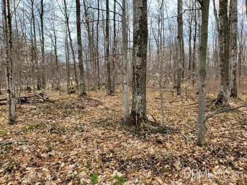 Tbd N Ash Road, Manistique, MI 49854