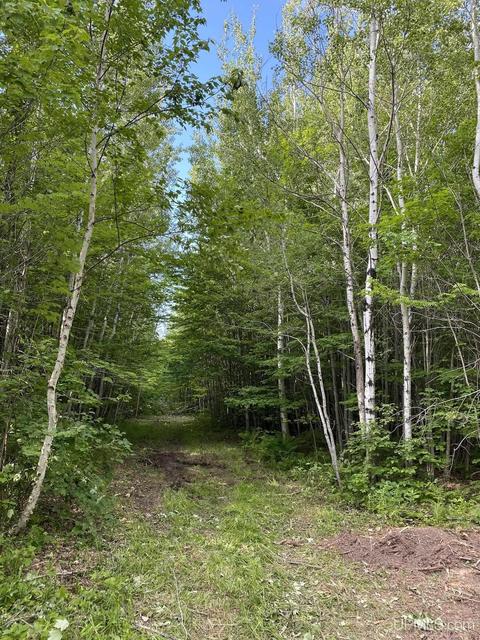 Tbd Kingfisher, Ontonagon, MI 49953