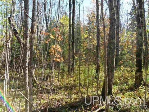 tbd Karschney, L'anse, MI 49946