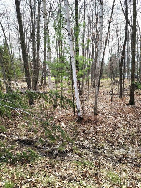 Lot #43 Pineway, Gladwin, MI 48624