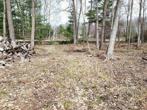 Lot #43 Pineway, Gladwin, MI 48624 photo 3