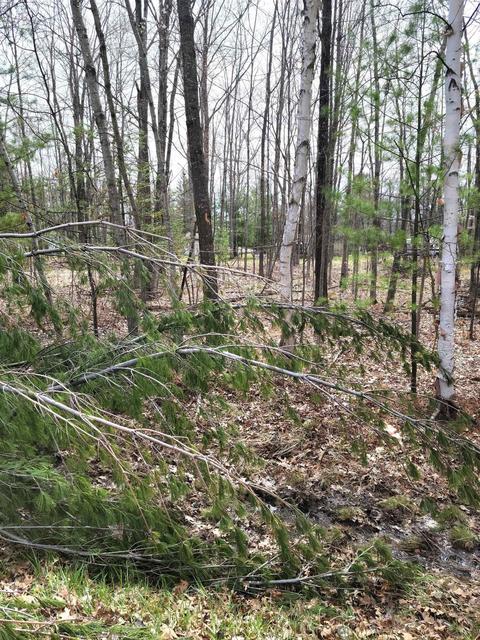 Lot #43 Pineway, Gladwin, MI 48624 photo 2