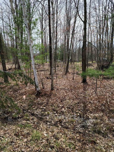 Lot #43 Pineway, Gladwin, MI 48624 photo 4