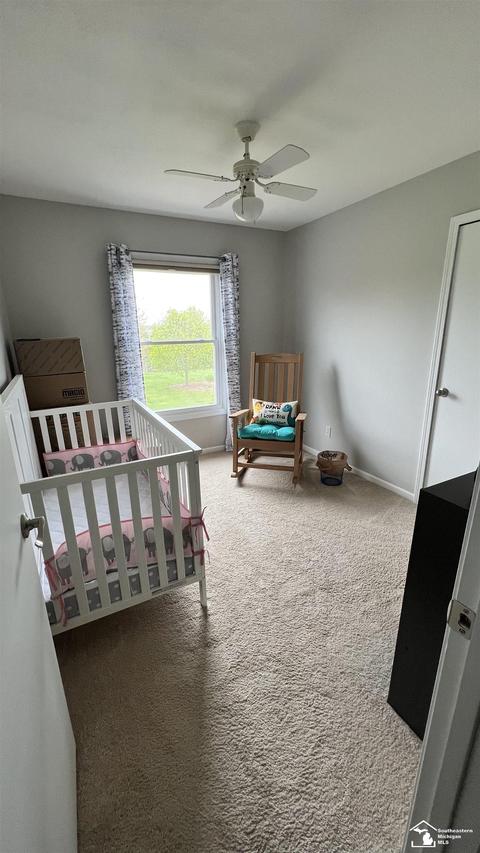 14604 Dixon, Dundee, MI 48131 photo 20