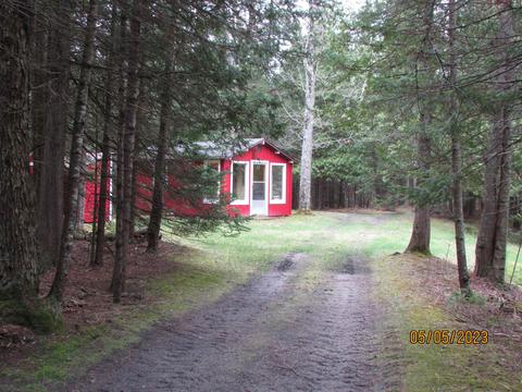 11999 E South County Line Rd, Harrison, MI 48625 photo 46