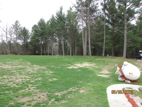 11999 E South County Line Rd, Harrison, MI 48625 photo 28