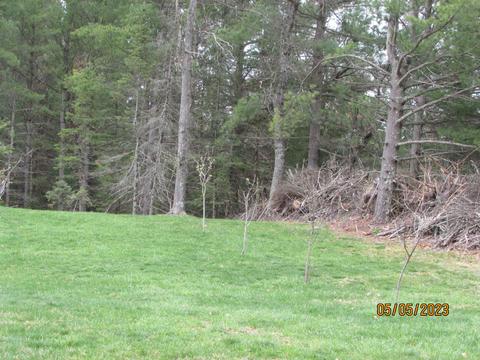 11999 E South County Line Rd, Harrison, MI 48625 photo 32