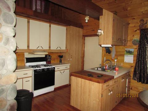 11999 E South County Line Rd, Harrison, MI 48625 photo 8