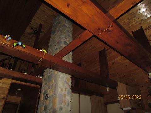 11999 E South County Line Rd, Harrison, MI 48625 photo 10