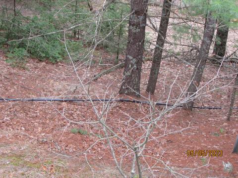 11999 E South County Line Rd, Harrison, MI 48625 photo 27
