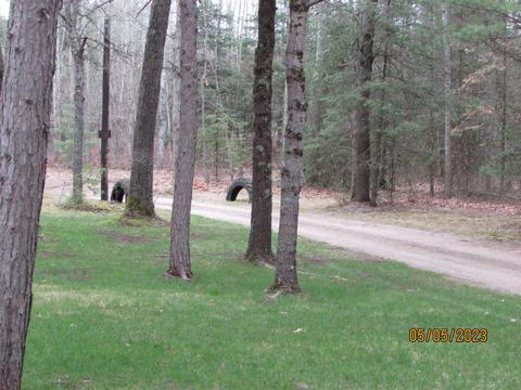 11999 E South County Line Rd, Harrison, MI 48625 photo 33