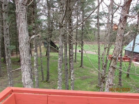 11999 E South County Line Rd, Harrison, MI 48625 photo 53