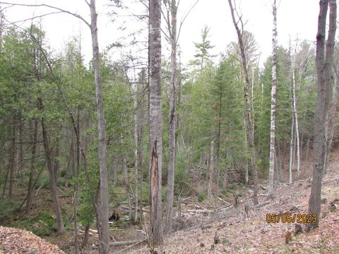 11999 E South County Line Rd, Harrison, MI 48625 photo 35
