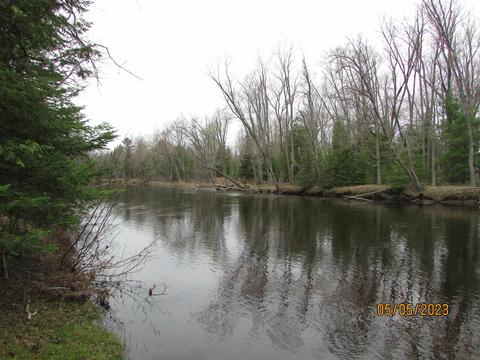 11999 E South County Line Rd, Harrison, MI 48625 photo 38