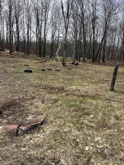 Tbd H58, Shingleton, MI 49895 photo 3