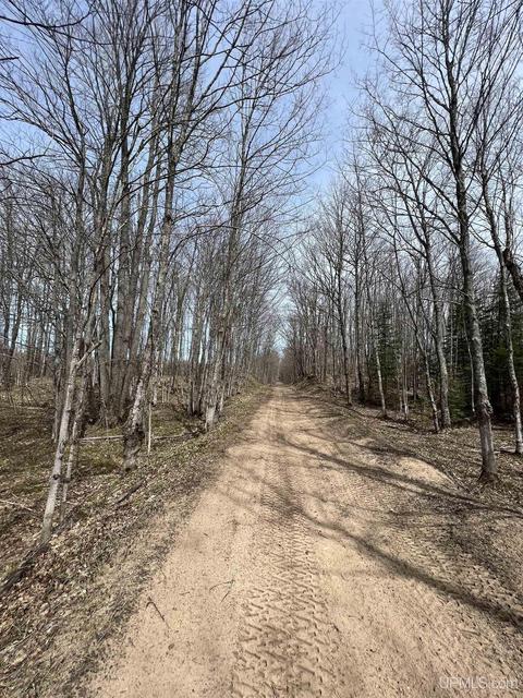Tbd H58, Shingleton, MI 49895 photo 19