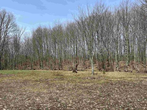 Tbd H58, Shingleton, MI 49895 photo 2