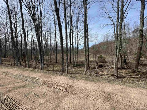 Tbd H58, Shingleton, MI 49895 photo 16