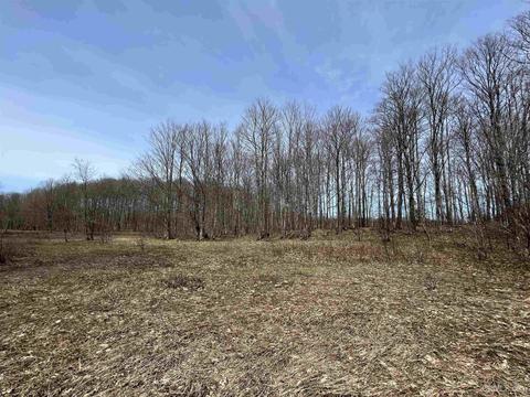 Tbd H58, Shingleton, MI 49895 photo 20