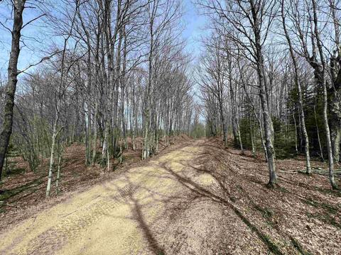 Tbd H58, Shingleton, MI 49895 photo 13