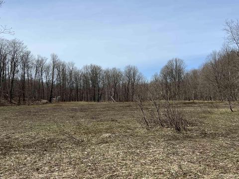 Tbd H58, Shingleton, MI 49895