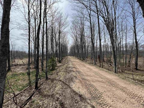 Tbd H58, Shingleton, MI 49895 photo 14