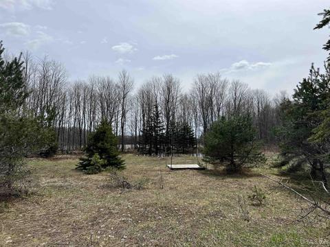 Tbd H58, Shingleton, MI 49895 photo 6