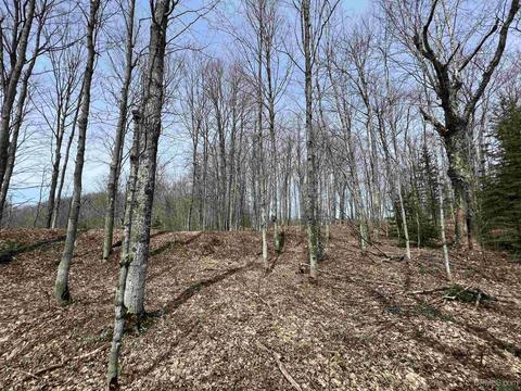 Tbd H58, Shingleton, MI 49895 photo 12