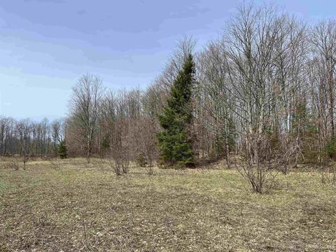 Tbd H58, Shingleton, MI 49895 photo 8