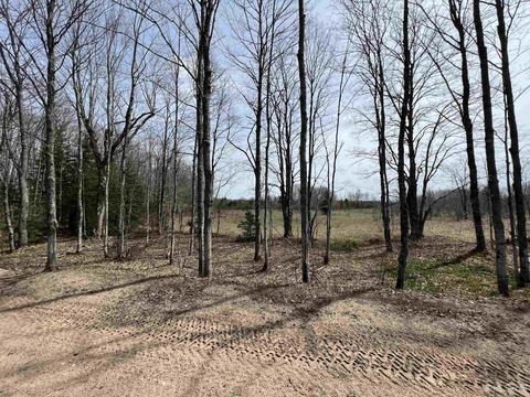 Tbd H58, Shingleton, MI 49895 photo 15