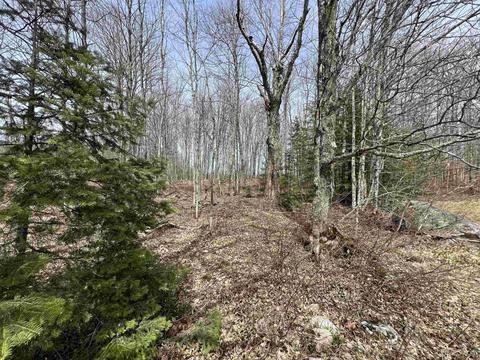 Tbd H58, Shingleton, MI 49895 photo 11