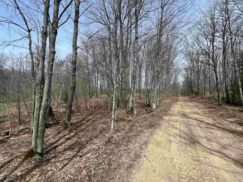 Tbd H58, Shingleton, MI 49895 photo 18