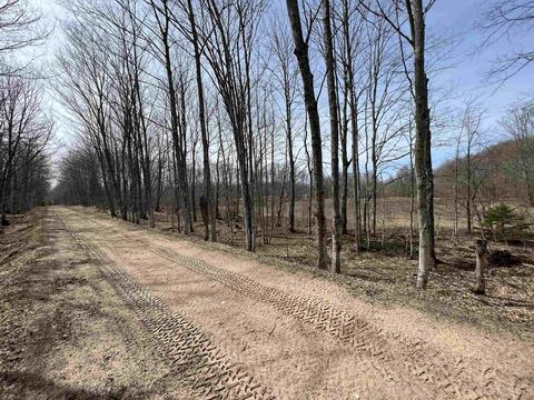Tbd H58, Shingleton, MI 49895 photo 17