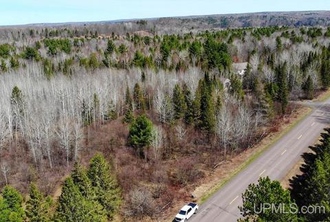 Tbd167 Liminga Road, Houghton, MI 49931