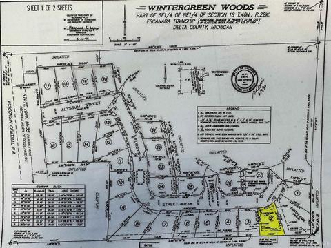40 Wintergreen Cir, Gladstone, MI 49837