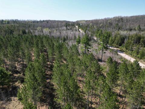 Tbd Gustafson Rd 40, Hermansville, MI 49847