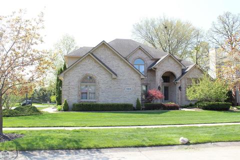 19816 Shorecrest, Clinton Township, MI 48038