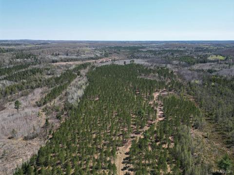Tbd Off Cr 577, Vulcan, MI 49892