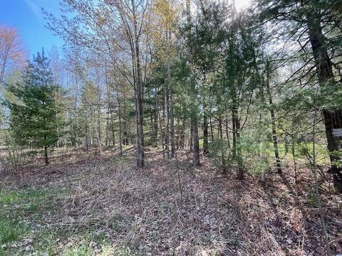 987 Lakeshore, Gladwin, MI 48624 photo 47