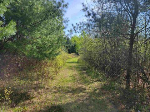 Three Rivers, Gladwin, MI 48624 photo 4