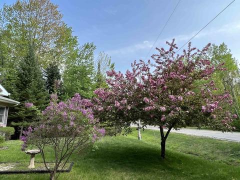 3752 Whispering Pnes, Gladwin, MI 48624 photo 39