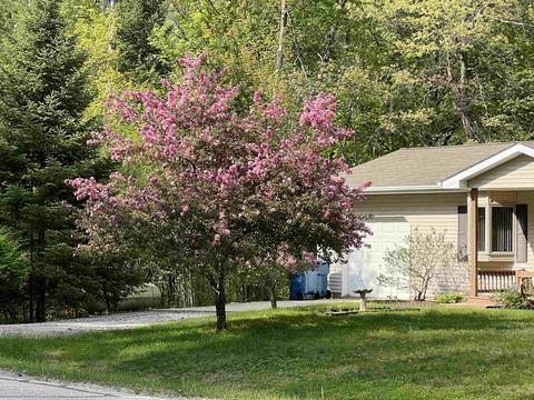 3752 Whispering Pnes, Gladwin, MI 48624 photo 38