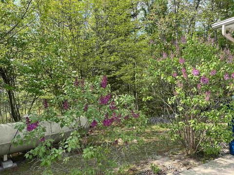 3752 Whispering Pnes, Gladwin, MI 48624 photo 41