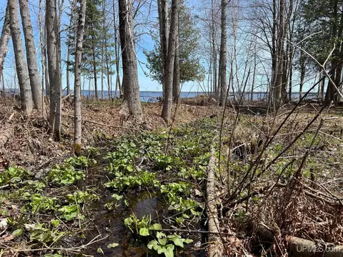 tbd N N Lk, Manistique, MI 49854