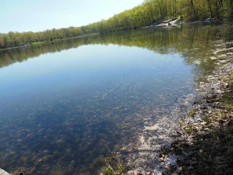 2170 Deer Lake Rd, Harrison, MI 48625 photo 10