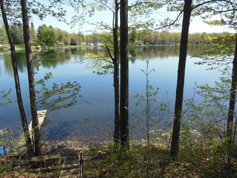 2170 Deer Lake Rd, Harrison, MI 48625 photo 11